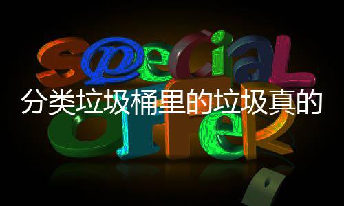 桶里的垃的会吗圾真垃圾处置分类分类
